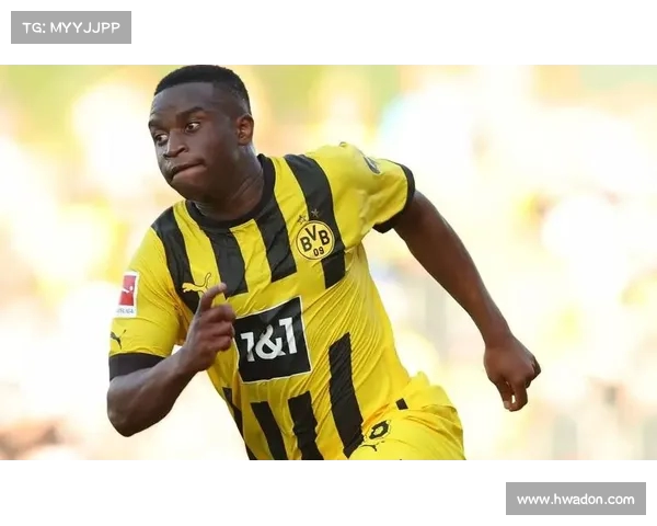 多特蒙德与彪马续约至2034年 合同总额达4亿欧元