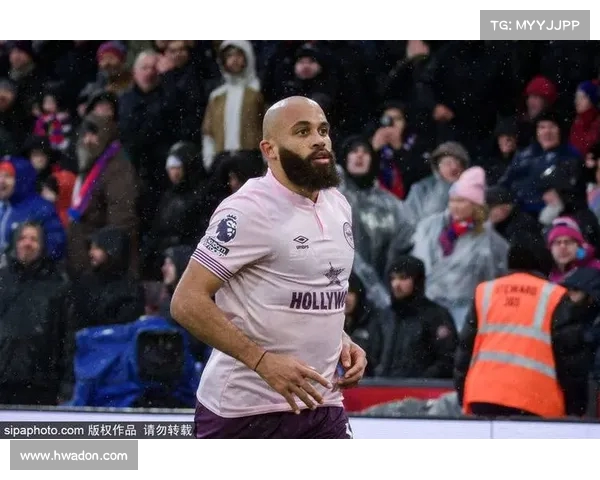 纽卡计划再次报价维萨 转会费预计将突破3000万英镑