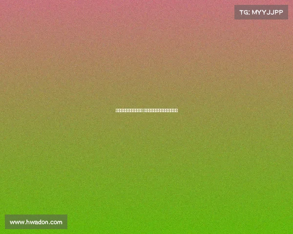 美网热身赛正式拉开帷幕 球员备战状态全新挑战接踵而至