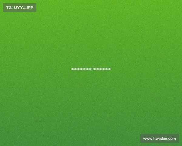 尤文考虑引进普维尔与巴斯克斯 前者为首选目标并进行评估